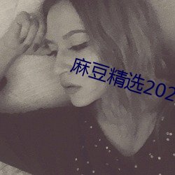 麻豆精选2023一区