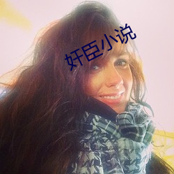 奸(jiān)臣小(xiǎo)说(shuō)