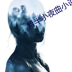 月半小夜曲小说