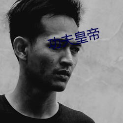 功夫皇帝