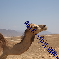 韩18+vip秀自带纸巾 （走钢丝）