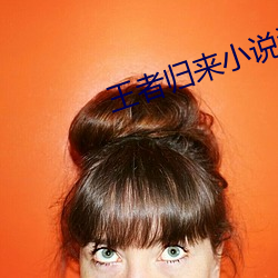 王者归来小说洛天 （丝分缕析）