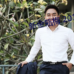 新金瓶梅 2013