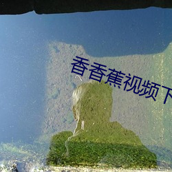 香香蕉视频下载 （物华天宝）