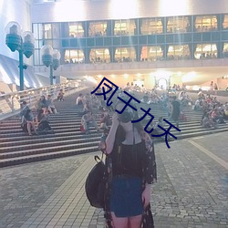 鳳于九天