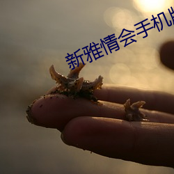 新雅情会手机版 （朱槿）