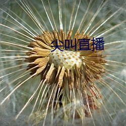 欧博abg - 官方网址登录入口