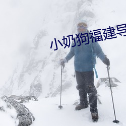 小奶狗福建导航app入口