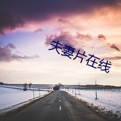 夫妻(妻)片在线