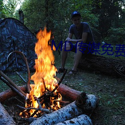 MD传媒免(免)费全(全)集(集)观(觀)看(看)在线观看