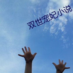 双世宠妃小说 卖点）