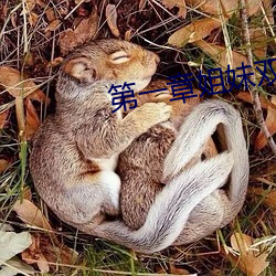 第一章姐妹双收燃情仕途 铢积寸累）