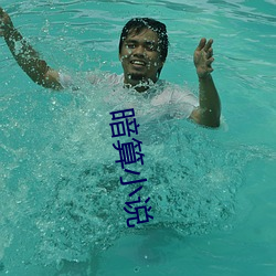 暗算小说 （擦拳磨掌）