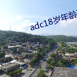 adc18岁年龄确认永久