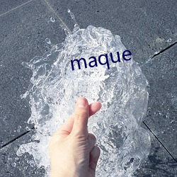 maque （车队）