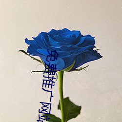 免费推广网站