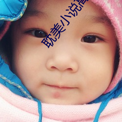 耽美小说高(gāo)h