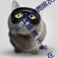 聂小雨黑衣战神1080p在线观看高清》高清不卡在线观看