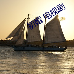 初婚 电视剧