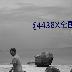 《4438X全国成长