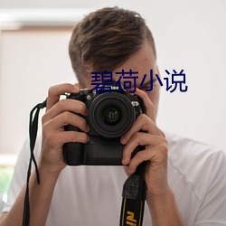 碧荷小说 （观音土）