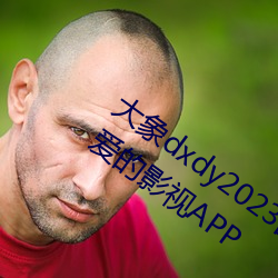 大象dxdy2023回家导航:很是受年轻人喜欢的影视APP