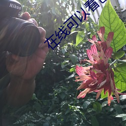 在线(線)可以看色片免费观(觀)看