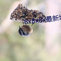 918博天堂·(中国)手机版客户端