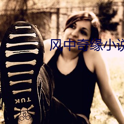 风中奇缘小说 （望子成龙）