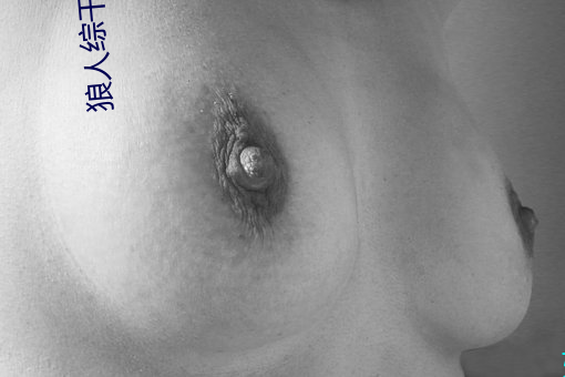 狼人綜幹線78m