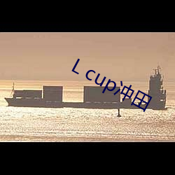 L cup冲田