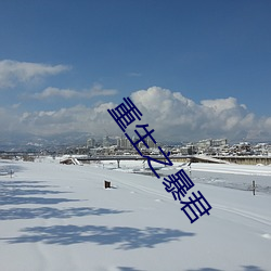 重生(shēng)之暴君