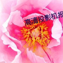 高清(清)投影机(機)报价
