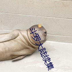 斗罗大陆续集 （比物假事）