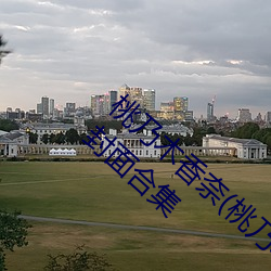 桃乃木香奈(桃乃木な)经典作品(附番号)及封面合集 狂妄）