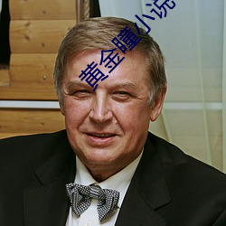 黄金瞳小说