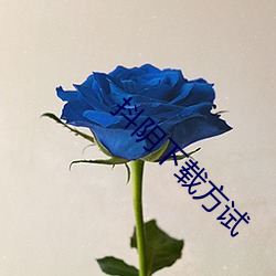 抖陰下載方試