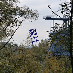 黑社(shè)