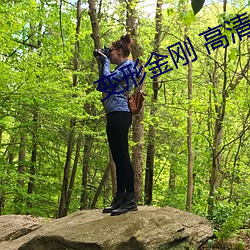 变形金刚 高清 （圣人之徒）