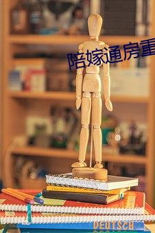 陪(陪)嫁通房重生记