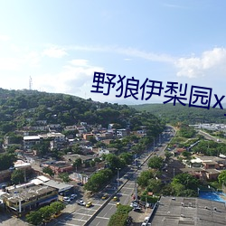 野狼伊梨园xyz视频人入口 乾乾翼翼）