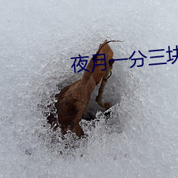 夜月一分三块(塊)