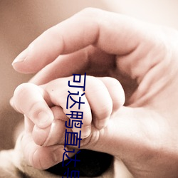 可達鴨直達導航