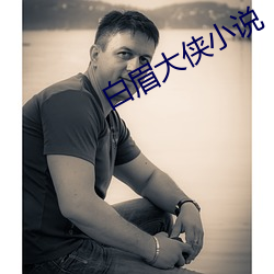 白眉大侠小说