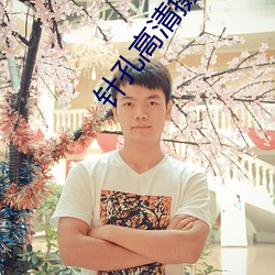 针(針)孔高清摄像机