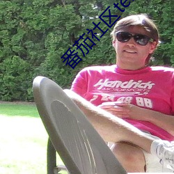 番茄(jiā)社区testflight苹果