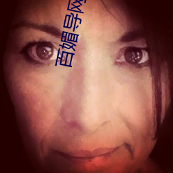 百媚導網站