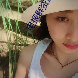 电报群资源共享