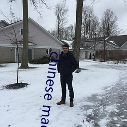 chinese made free