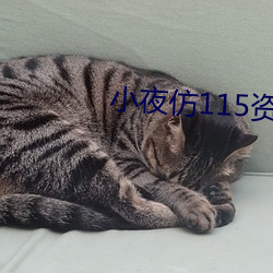 小夜仿115资源网源码